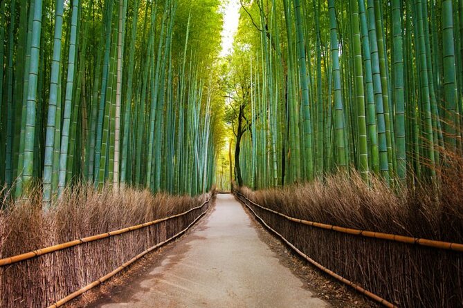 Kyoto Arashiyama Walking Tour: Bamboo, Monkeys, Gardens & Secrets - Monkey Park Iwatayama: The Steep Hike Is Worth Planning For