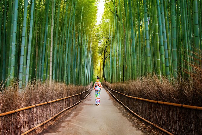 Kyoto Arashiyama Walking Tour: Bamboo, Monkeys, Gardens & Secrets - Nonomiya Shrine: A Small Stop With a Big Cultural Thread