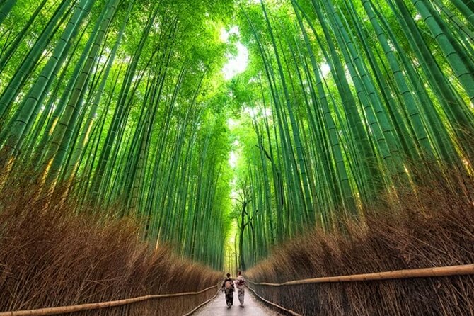 Kyoto: Arashiyama Walking Tour – UNESCO World Heritage - Key Highlights You Should Know