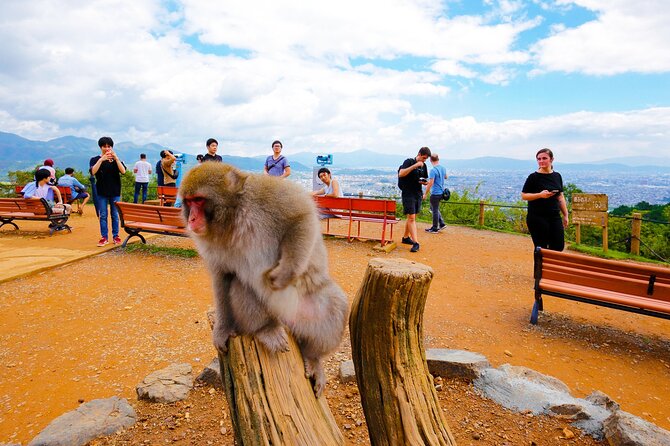 Kyoto: Arashiyama Walking Tour – UNESCO World Heritage - Price and What You Actually Get for $52.33