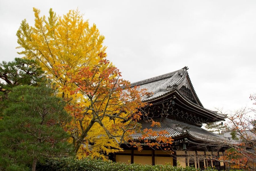 Kyoto: Authentic Biking Half Day Experience - Key Highlights You Will Feel Immediately