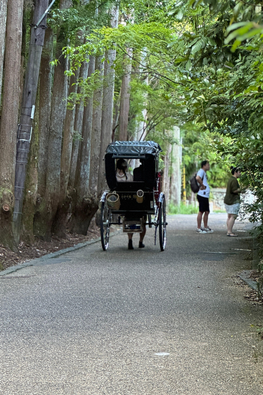Kyoto: Avoid the Crowds at the Hidden Gems of Arashiyama - Why Arashiyama feels different when you skip the main crush