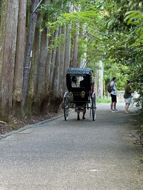 Kyoto: Avoid the Crowds at the Hidden Gems of Arashiyama - Starting at Saga Arashiyama Station, then walking in a smart order