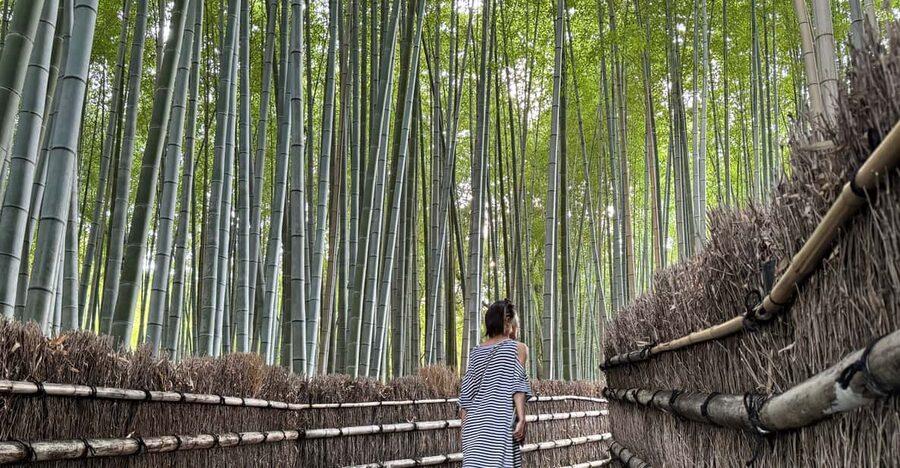 Kyoto: Avoid the Crowds at the Hidden Gems of Arashiyama - Togetsukyo Bridge and Arashiyama Park’s observatory views