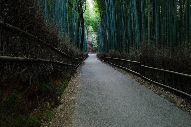 Kyoto Bamboo Forest & Golden Pavilion E-Bike Tour - Tenryu-ji Zen garden time (UNESCO since 1994)