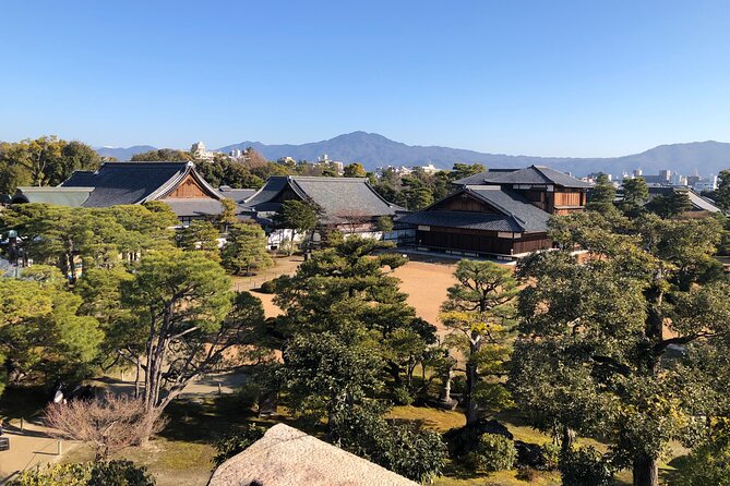 Kyoto Bamboo Forest & Golden Pavilion E-Bike Tour - What it’s like for families and first-time cyclists