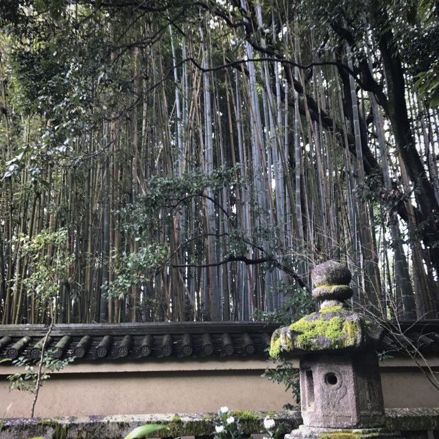 Kyoto: City Secrets eBike Tour - 9 km of Backstreets: Safety, Traffic, and Why the Route Matters