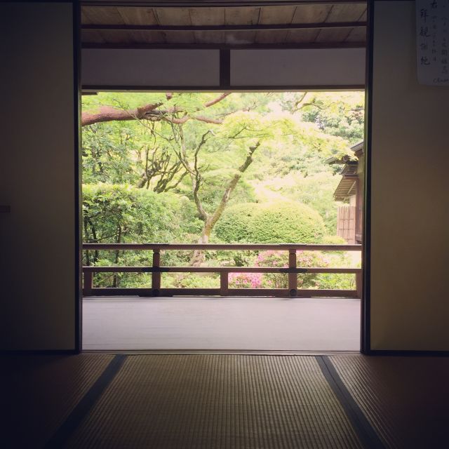 Kyoto: City Secrets eBike Tour - Meeting NORU and Picking the Right Departure Time