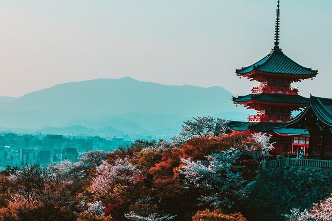 Kyoto Custom Private Walking Tour with A Guide (Private Tour) - Key Points That Matter Before You Walk