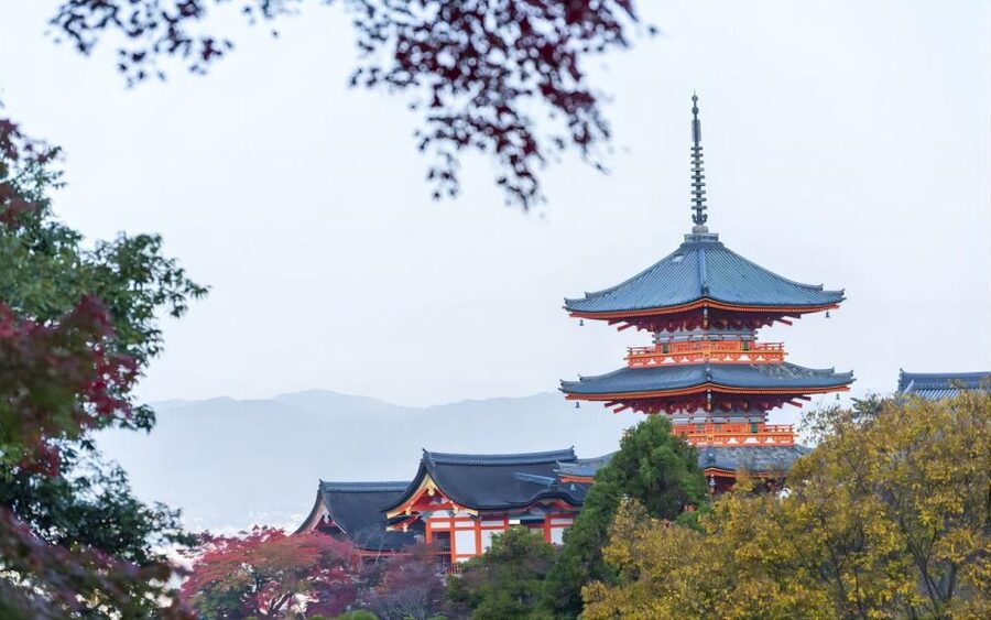 Kyoto: Customizable Full-Day Tour with Privarte Transfers - Key things to know before you go