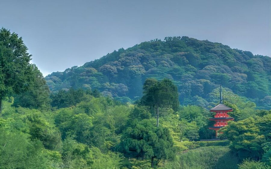 Kyoto: Customizable Full-Day Tour with Privarte Transfers - Other Kyoto favorites you can swap in: Kiyomizu-dera, Gion, and more