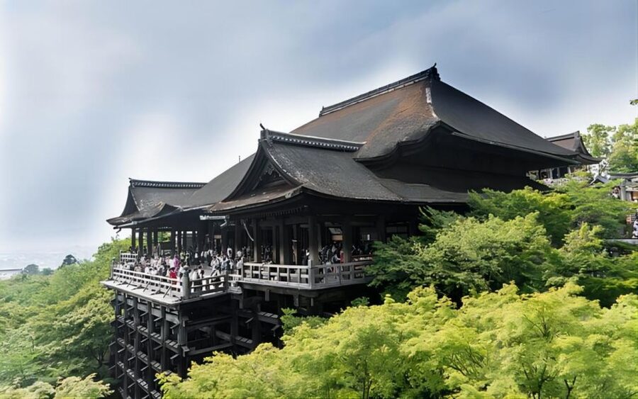 Kyoto: Customizable Full-Day Tour with Privarte Transfers - Driver basics, guide upgrades, and the quality check that matters
