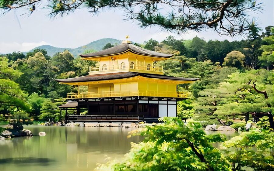 Kyoto: Customizable Full-Day Tour with Privarte Transfers - Price and logistics: is $234 per person fair value?