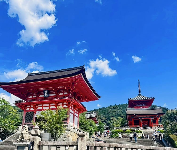 Kyoto: Customized One Day Car tour - Who this Kyoto one day car tour is best for