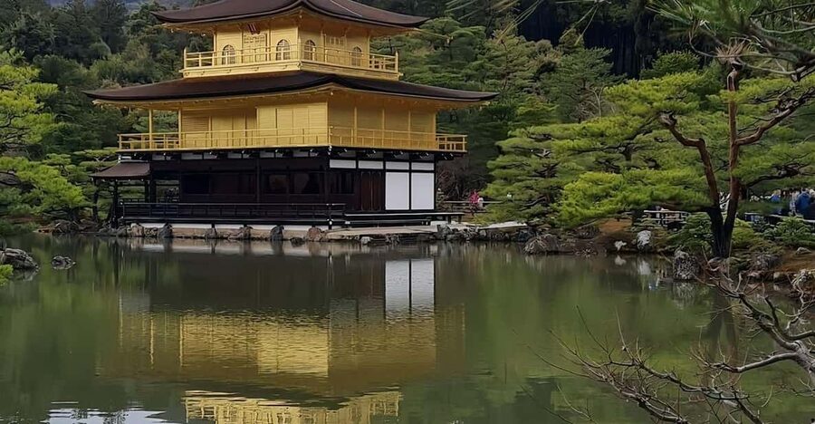 Kyoto: Customized One Day Car tour - How the day flows: pickup, driver-only guidance, and your pacing power