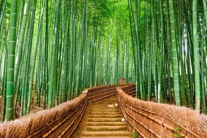 Kyoto Customized Private Car Tour - Key points to know before you go