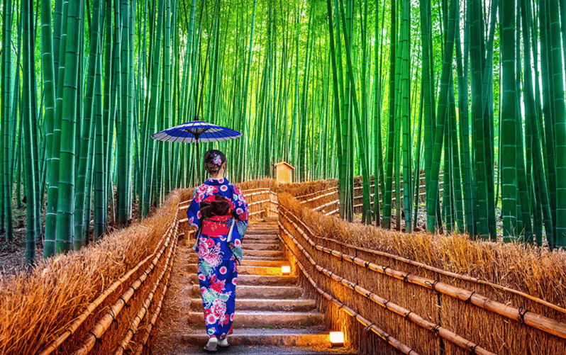 Kyoto Day Tour with Certified Tour Guide & Luxury vehicle - Key things to know before you go