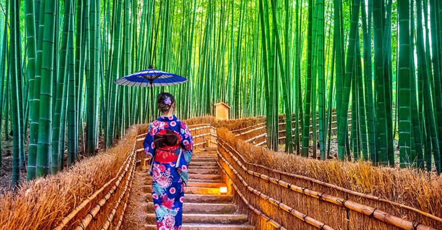 Kyoto Day Tour with Certified Tour Guide & Luxury vehicle - A Kyoto day built around your choices