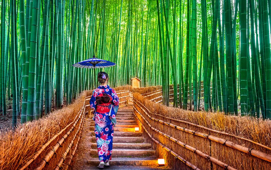 Kyoto Day Tour with Certified Tour Guide & Luxury vehicle - Pickup and drop-off in Kyoto, Osaka, and Nara