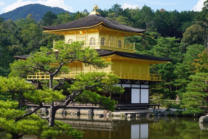 Kyoto Day Trip using Private Car with English Driver (up to 5) - Arashiyama Bamboo Forest: nature first, souvenir streets second