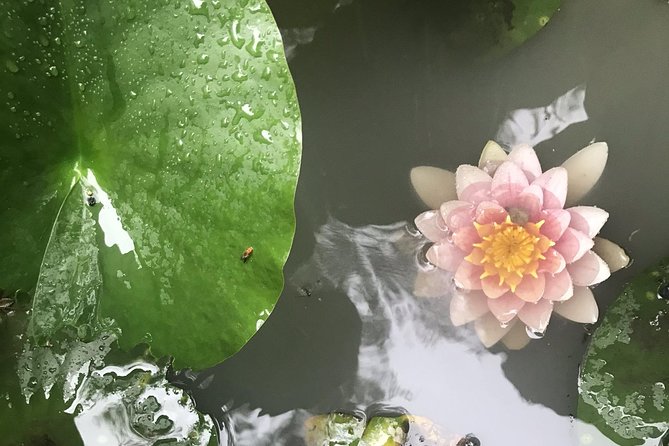 Kyoto: Descending Arashiyama (Private) - Price and logistics, what you will actually pay