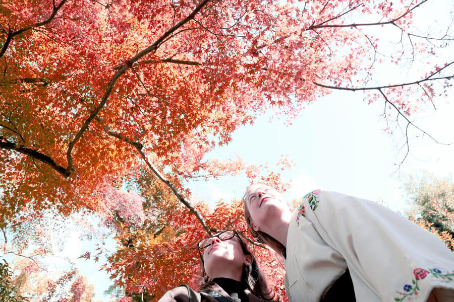 Kyoto: Discover the Oldest Geisha District, Kamishichiken - Should you book it, or keep it self-guided?