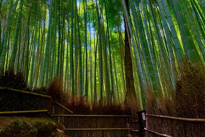 Kyoto Early Bird English Tour: Fushimi-Inari and Arashiyama - Stop 1: Fushimi Inari-taisha and the Torii Gate Flow