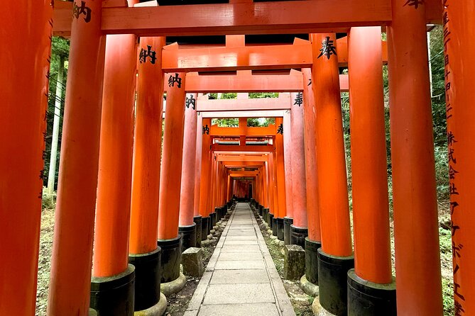 Kyoto Early Bird English Tour: Fushimi-Inari and Arashiyama - Stop 2: Arashiyama Bamboo Forest Street at Human Speed