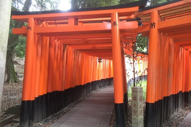 Kyoto Early Bird Tour: Fushimi Inari, Arashiyama Bamboo & Monkeys - Who should book this Kyoto early bird tour?