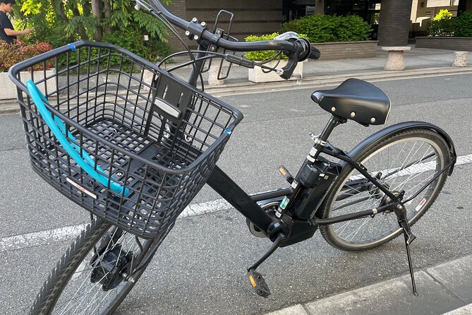 Kyoto Early Morning E Biking Tour Fushimi Inari Kiyomizu Temple - The guide matters: when history meets photo help