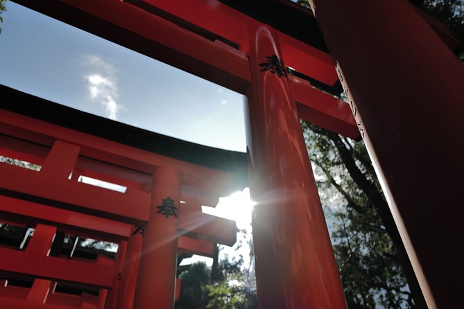 Kyoto Early Morning Tour with English-Speaking Guide - Public transit help: how it saves time (and reduces confusion later)