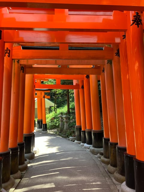 Kyoto: Essential Tour with Fushimi Inari & Bamboo Grove - Fushimi Inari Taisha: The Torii Walk That Feels Like a Ritual