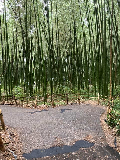 Kyoto: Essential Tour with Fushimi Inari & Bamboo Grove - Practical Tips That Make the Walk Easier