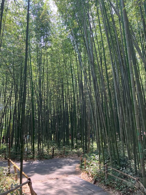 Kyoto: Essential Tour with Fushimi Inari & Bamboo Grove - Arashiyama Bamboo Grove: Calm Air, Tall Stalks, and Soft Light