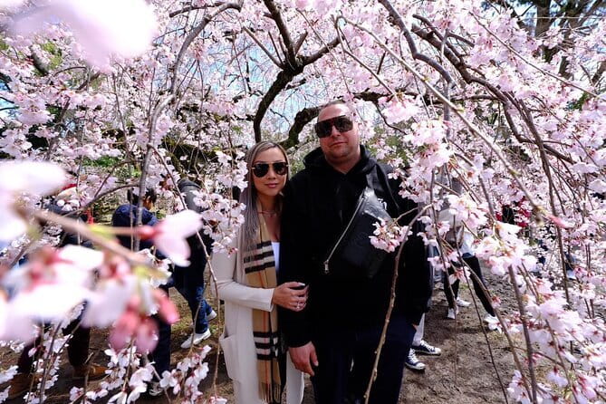 KYOTO Explore Top Highlights by Private Walking Tour - The Day Plan: Arashiyama to Kiyomizudera in One Organized Flow