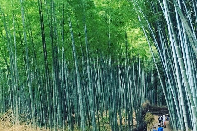 KYOTO Explore Top Highlights by Private Walking Tour - Fushimi Inari Shrine: The Shortcut That Still Gets You There