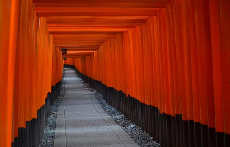 Kyoto : Flexible 3 hours Tour with a English Speaking guide. - Should you book this Kyoto flexible guide?