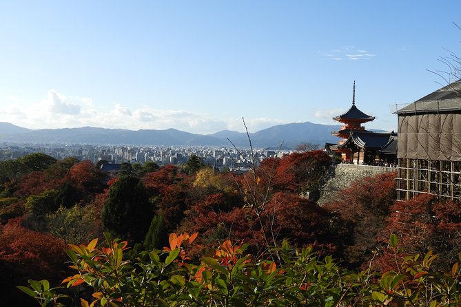 Kyoto Full Day (8 hours) Ultimate Sightseeing Private Tour - Gion stroll: the right kind of slow after four big stops