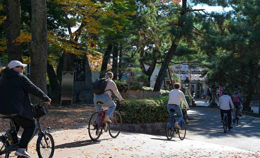 Kyoto: Full Day Bike Tour - How hard is the riding, and what bikes and guides change