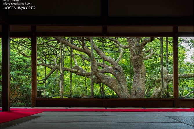 Kyoto Full-Day Excursion from Kobe (Osaka) Port - A Kyoto day that leans into calm, not checklists