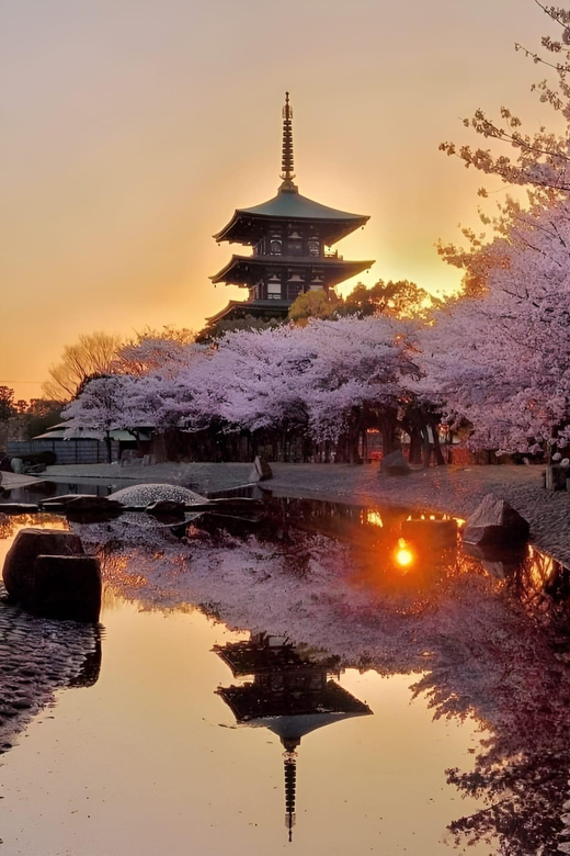 Kyoto full day private day trip with English speaking driver - Starting point: Osaka or Kyoto pickup and stress-free drop-off