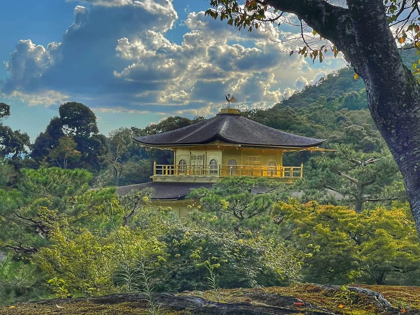 Kyoto full day private day trip with English speaking driver - Stop 3, Arashiyama Bamboo Grove and Togetsukyo Bridge