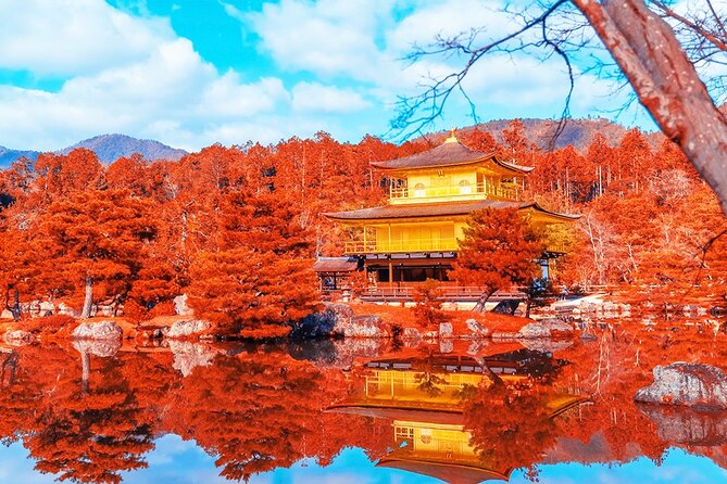 Kyoto Full day Tour Kinkakuji, Kiyomizu-dera and Fushimi Inari - Kyoto in One Day, Without Feeling Like a Sprint