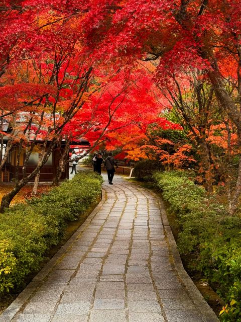 Kyoto: Fully customizable your own tour in the old capital - Price and Value: Why $365 per Group Makes Sense (If You Plan Smart)