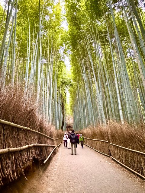 Kyoto: Fully customizable your own tour in the old capital - A Private, Choose-Your-Own Kyoto Route With Real Local Guidance