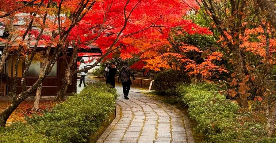 Kyoto: Fully customizable your own tour in the old capital - Getting Around Smoothly: Public Transport, Shoes, and Cash