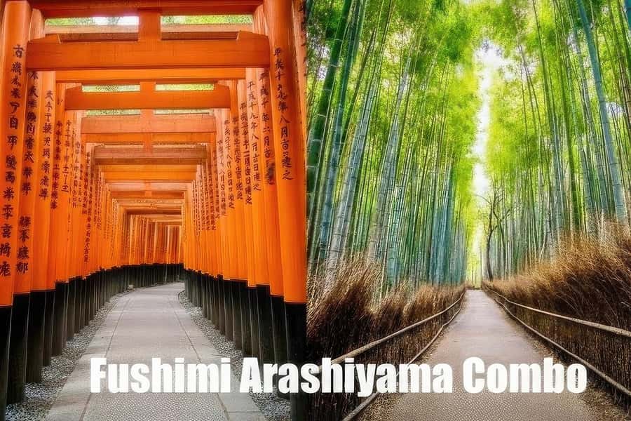 Kyoto: Fushimi, Arashiyama - Bamboo, Monkey, Torii & Secrets - Fushimi Inari Torii Gates, Starting From Inari Station