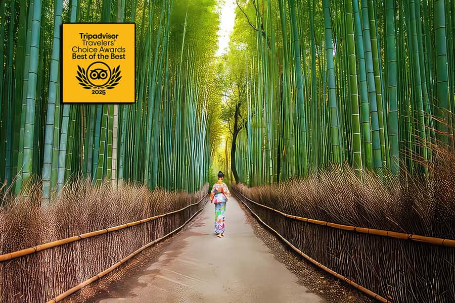 Kyoto: Fushimi, Arashiyama - Bamboo, Monkey, Torii & Secrets - Walking the Torii Maze, With Hidden Side Paths and Photo Stops