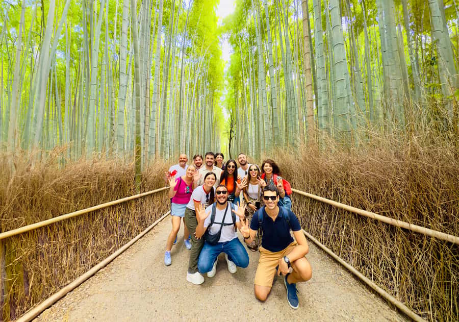 Kyoto: Fushimi, Arashiyama - Bamboo, Monkey, Torii & Secrets - Togetsukyo Moon Crossing Bridge for Classic Kyoto Views