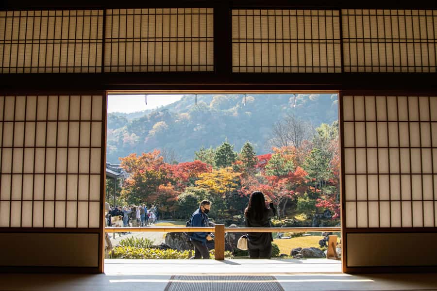 Kyoto: Fushimi, Arashiyama - Bamboo, Monkey, Torii & Secrets - Monkey Park Hike: The Steep Part, Plus Feeding Wild Monkeys